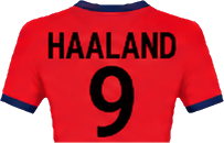 flags/haaland.png