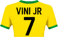 flags/vinijr.png